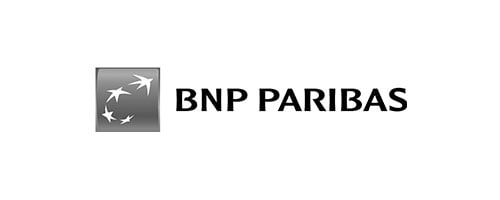 company-logos-bnp-1